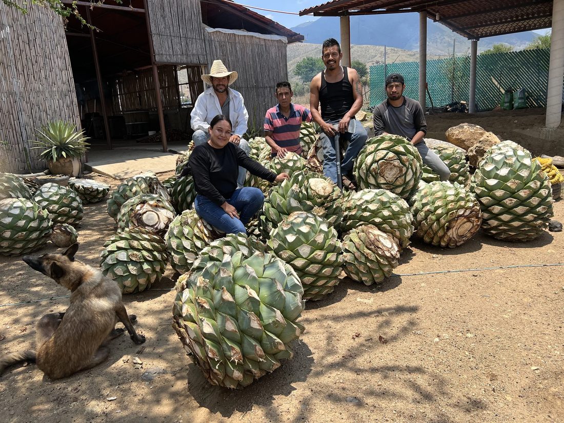 Rosario &Aacute;ngeles and her team at the palenque